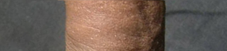 Illustration for article titled All 8 Glorious Inches Of Purebred American Cock...Ranked